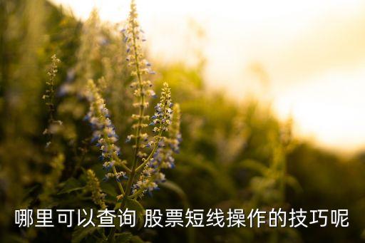 哪里可以查詢 股票短線操作的技巧呢