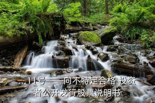 ...11號(hào)——向不特定合格 投資者公開發(fā)行股票說明書