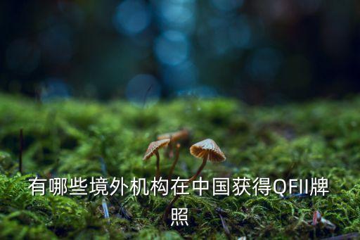 韓國(guó)投資金融控股公司,金融控股公司設(shè)立的現(xiàn)實(shí)意義