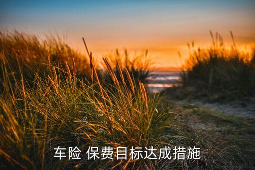 車(chē)險(xiǎn) 保費(fèi)目標(biāo)達(dá)成措施