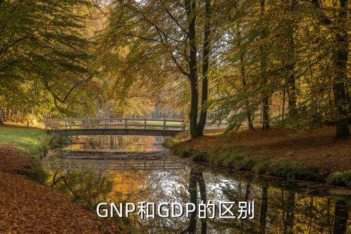 中國(guó)gnp和gdp,中國(guó)GNP和GDP哪個(gè)大2022