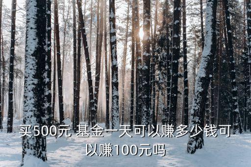 買500元 基金一天可以賺多少錢可以賺100元嗎