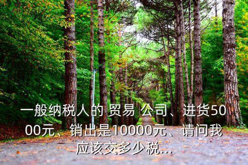 一般納稅人的 貿(mào)易 公司、進貨5000元、銷出是10000元、請問我應該交多少稅...