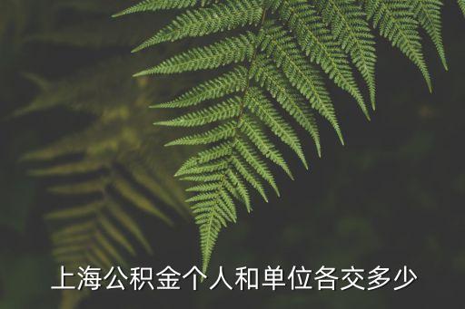  上海公積金個(gè)人和單位各交多少