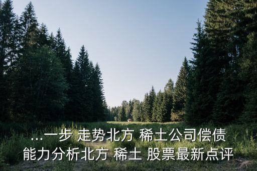 ...一步 走勢北方 稀土公司償債能力分析北方 稀土 股票最新點(diǎn)評(píng)