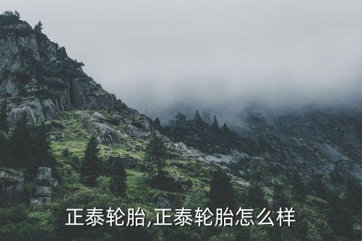 上海正泰輪胎,正泰輪胎怎么樣