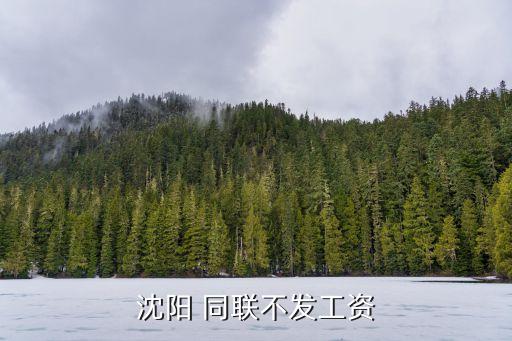 沈陽 同聯(lián)不發(fā)工資