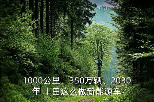 1000公里、350萬輛、2030年 豐田這么做新能源車