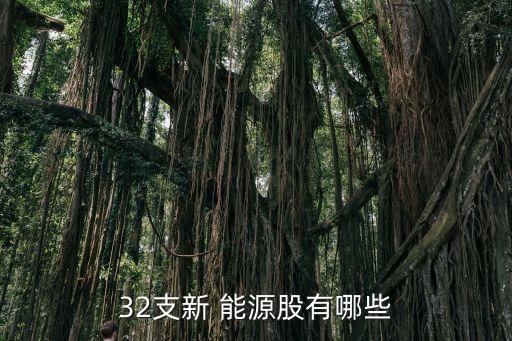 黑龍江寶安新能源投資有限公司,新疆寶安新能源礦業(yè)有限公司