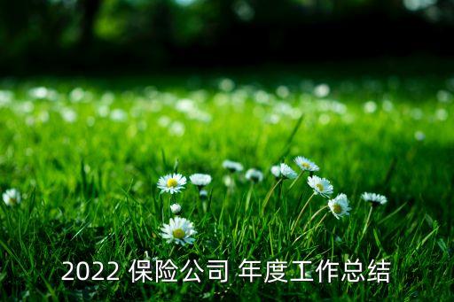 2022 保險(xiǎn)公司 年度工作總結(jié)