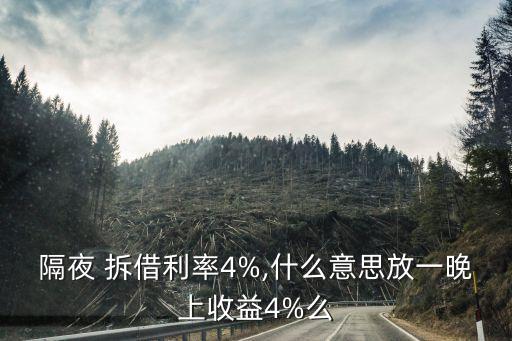 隔夜 拆借利率4%,什么意思放一晚上收益4%么