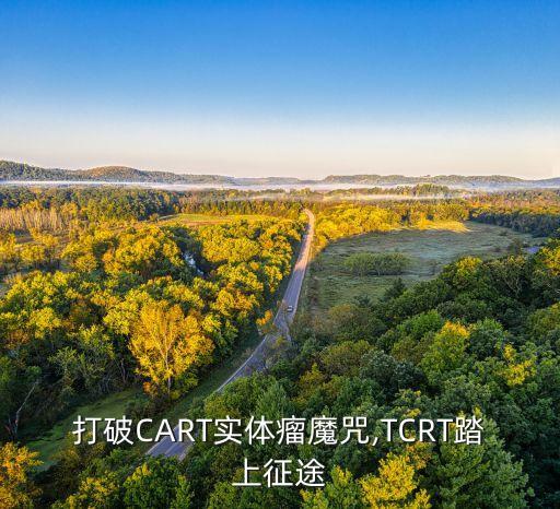 打破CART實體瘤魔咒,TCRT踏上征途