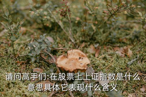 請(qǐng)問(wèn)高手們:在股票上上證指數(shù)是什么意思具體它表現(xiàn)什么含義