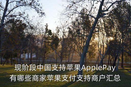 現(xiàn)階段中國支持蘋果ApplePay有哪些商家蘋果支付支持商戶匯總