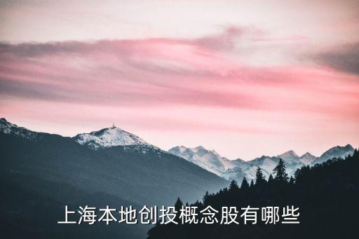 上海本地創(chuàng)投概念股有哪些