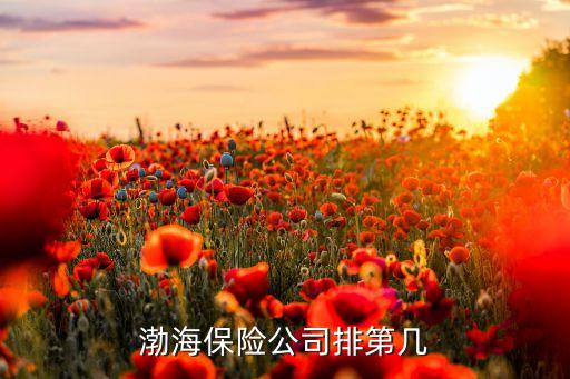 渤海保險(xiǎn)公司排第幾