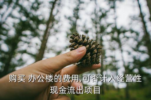 購買 辦公樓的費(fèi)用,可否計入經(jīng)營性現(xiàn)金流出項目