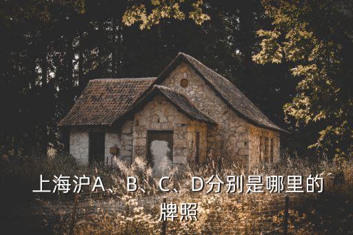  上海滬A、B、C、D分別是哪里的 牌照