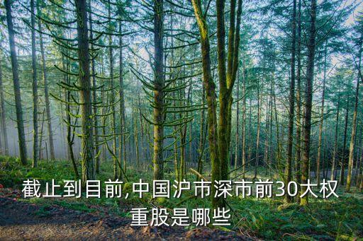 截止到目前,中國滬市深市前30大權(quán)重股是哪些