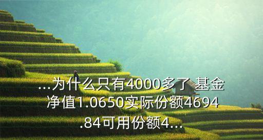 ...為什么只有4000多了 基金 凈值1.0650實(shí)際份額4694.84可用份額4...