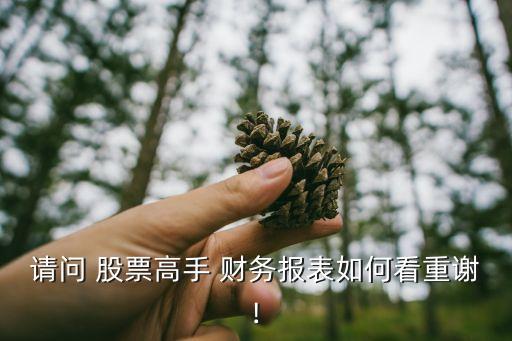 請問 股票高手 財務(wù)報表如何看重謝!