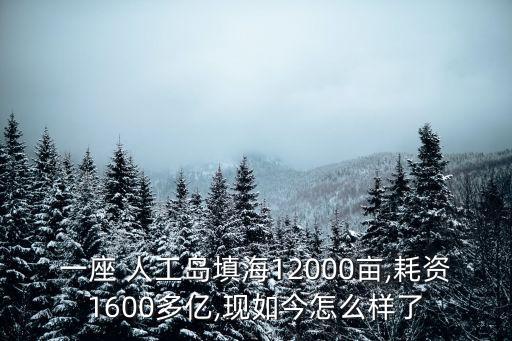 一座 人工島填海12000畝,耗資1600多億,現(xiàn)如今怎么樣了