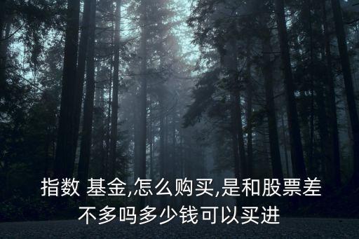 指數(shù)基金的價格