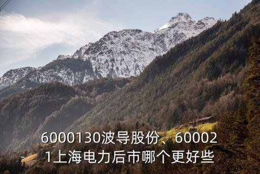 6000130波導(dǎo)股份、600021上海電力后市哪個更好些