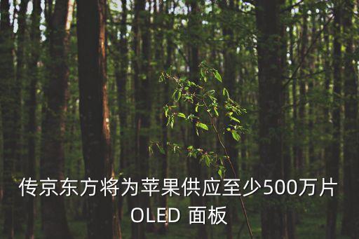 傳京東方將為蘋果供應至少500萬片OLED 面板