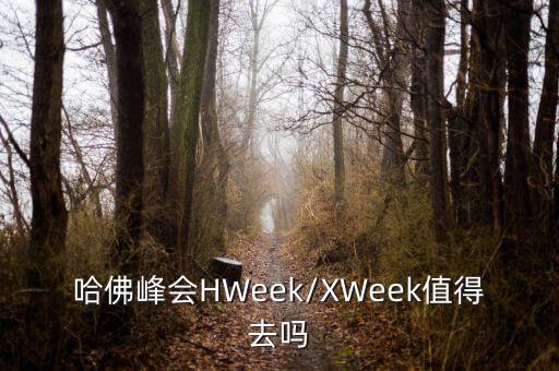 哈佛峰會(huì)HWeek/XWeek值得去嗎