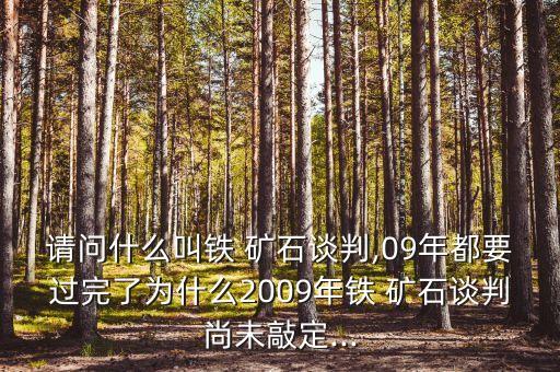 請(qǐng)問什么叫鐵 礦石談判,09年都要過完了為什么2009年鐵 礦石談判尚未敲定...