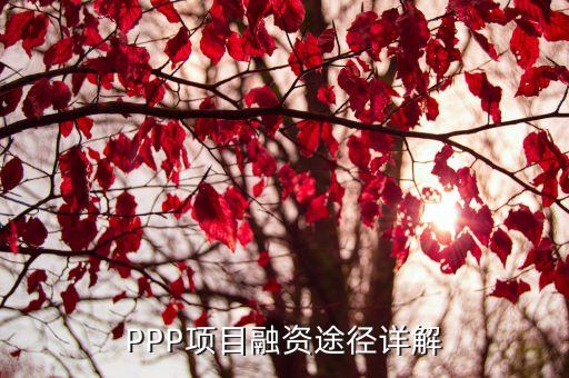 ppp股權(quán)投資分為幾個(gè)階段