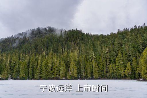 寧波遠(yuǎn)洋 上市時(shí)間