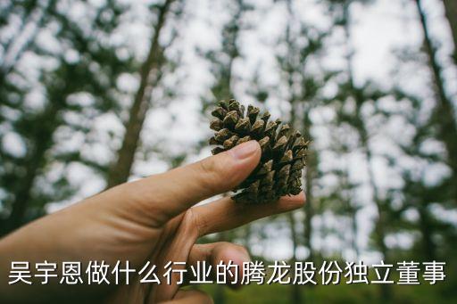 吳宇恩做什么行業(yè)的騰龍股份獨(dú)立董事