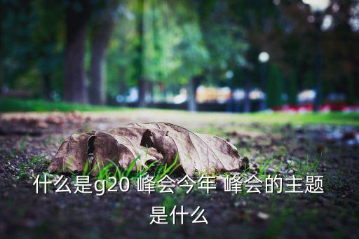 什么是g20 峰會(huì)今年 峰會(huì)的主題是什么