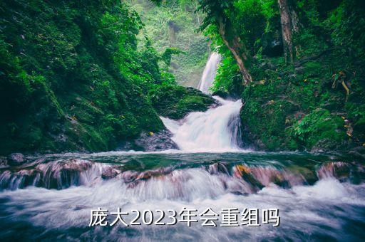  龐大2023年會(huì)重組嗎