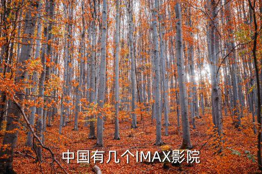 中國(guó)有幾個(gè)IMAX影院