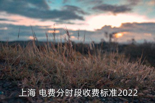  上海 電費(fèi)分時(shí)段收費(fèi)標(biāo)準(zhǔn)2022