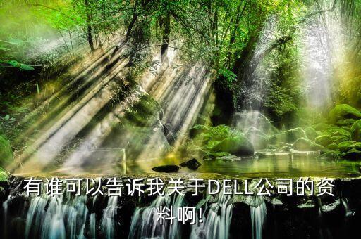 有誰可以告訴我關(guān)于DELL公司的資料啊!