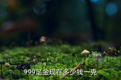 999足金現(xiàn)在多少錢一克