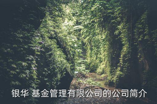  銀華 基金管理有限公司的公司簡(jiǎn)介