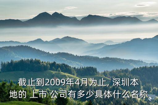 截止到2009年4月為止, 深圳本地的 上市 公司有多少具體什么名稱