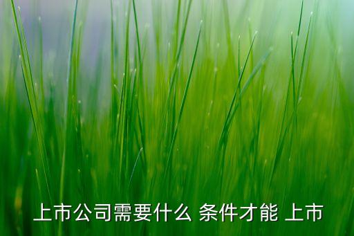 股票的上市條件,股票上市條件股本總額到底是3000萬還是5000萬