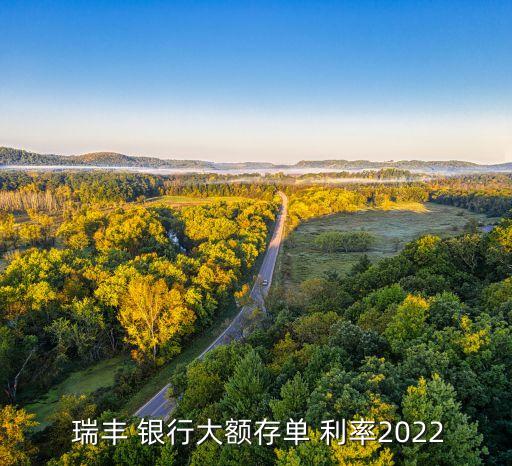  瑞豐 銀行大額存單 利率2022