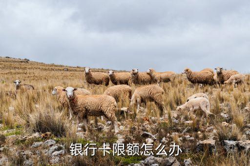 銀行額度控制,手機(jī)銀行額度怎么提升