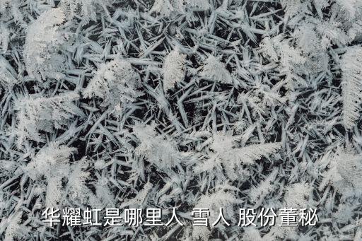 福建雪人股份有限公司,林汝捷 福建雪人股份有限公司