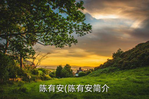 中國(guó)民族證券有限責(zé)任公司董事長(zhǎng)