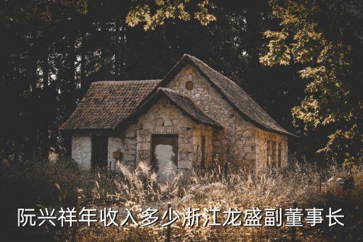 阮興祥年收入多少浙江龍盛副董事長(zhǎng)