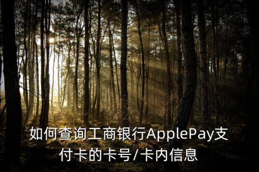 如何查詢工商銀行ApplePay支付卡的卡號/卡內(nèi)信息