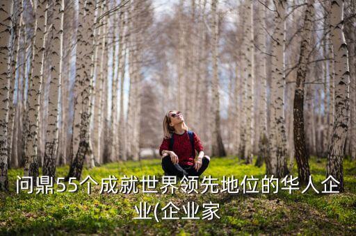 問鼎55個成就世界領先地位的華人企業(yè)(企業(yè)家